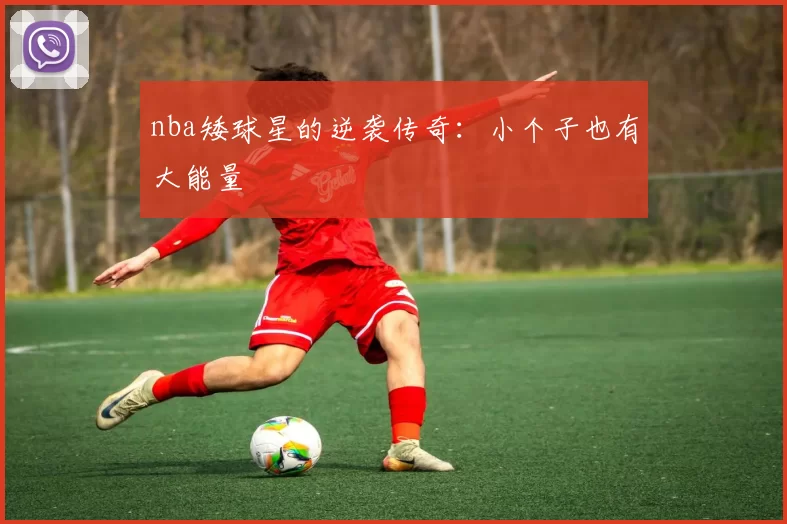 nba矮球星的逆袭传奇：小个子也有大能量