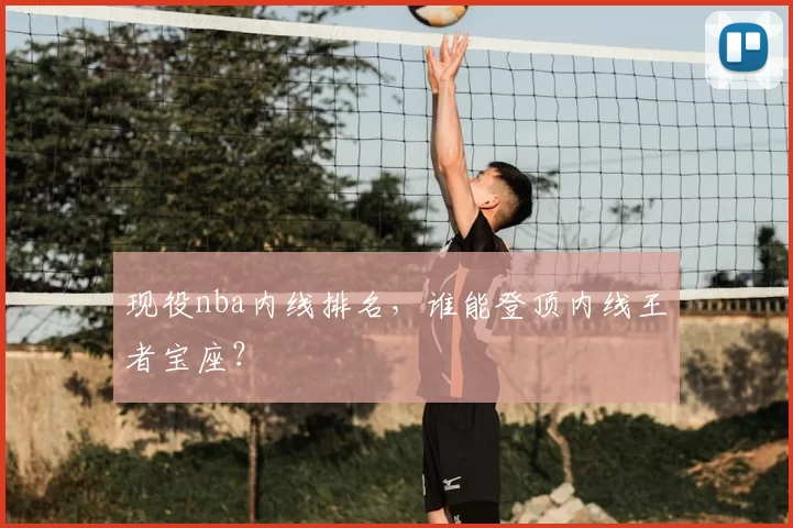 现役nba内线排名,谁能登顶内线王者宝座?