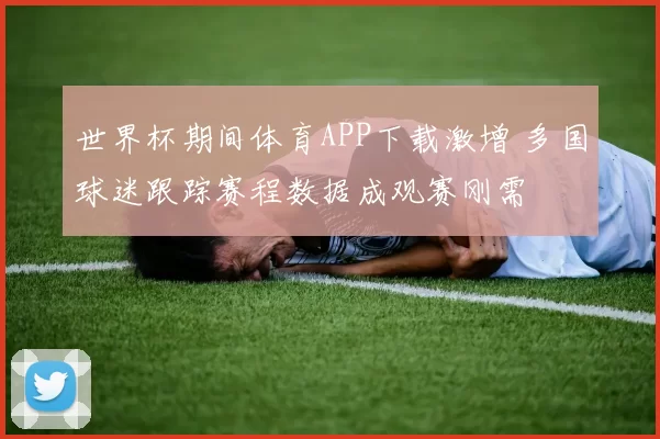 世界杯期间体育APP下载激增 多国球迷跟踪赛程数据成观赛刚需