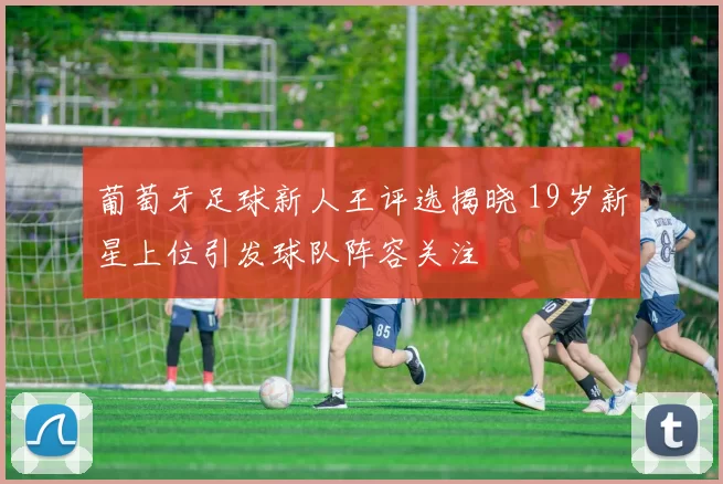 葡萄牙足球新人王评选揭晓 19岁新星上位引发球队阵容关注