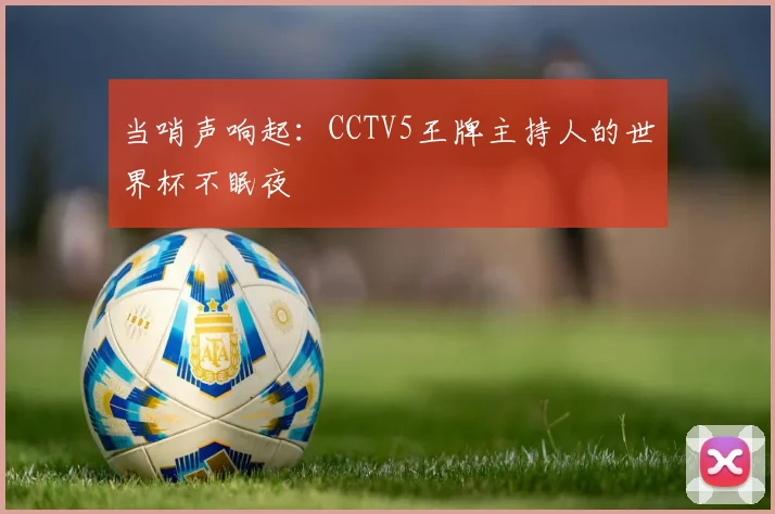 当哨声响起:CCTV5王牌主持人的世界杯不眠夜