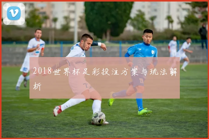 2018世界杯足彩投注方案与玩法解析